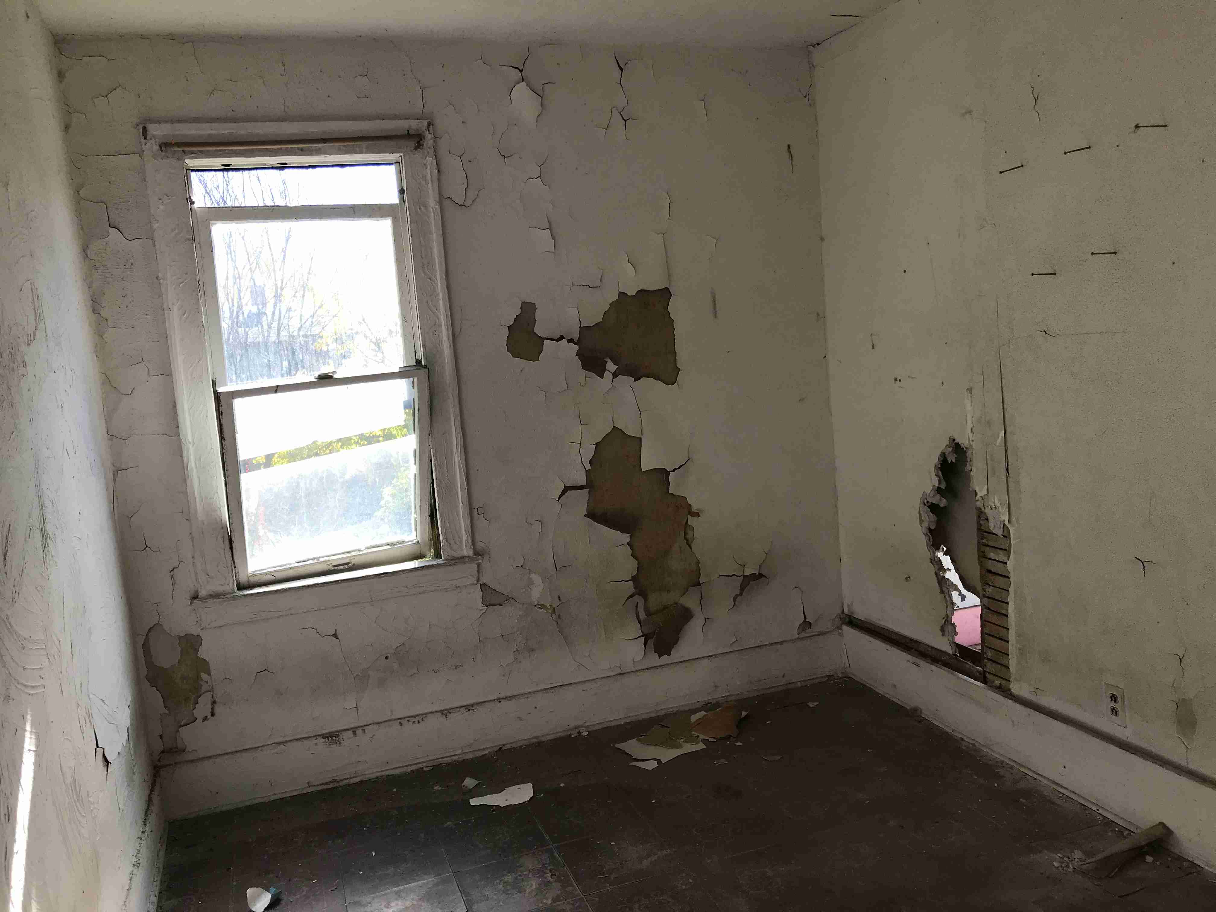 Photo Oct 13, 12 33 25 PM.jpg